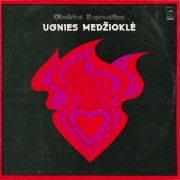 UGNIES MEDŽIOKLĖ