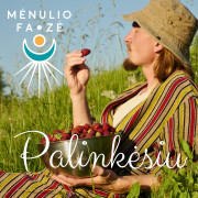 Palinkėsiu (Singlas)