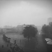 Carpe diem (Singlas)