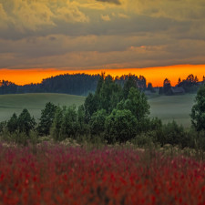 Tėviškėlė (Singlas)