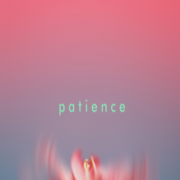 PATIENCE (Single)