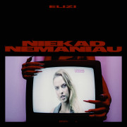 Niekad nemaniau (Singlas)