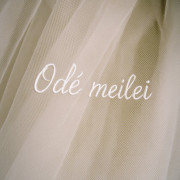 Odė Meilei (Singlas)