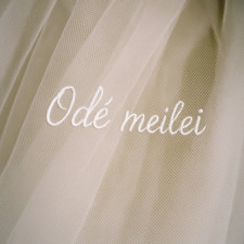 Odė Meilei (Singlas)