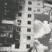 uodų karas (Singlas)