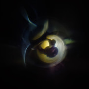 Amberbird (Singlas)