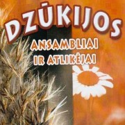 DZŪKIJOS ANSAMBLIAI IR ATLIKĖJAI 14