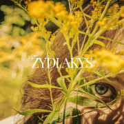 ŽYDI AKYS