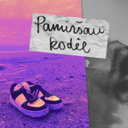 Pamiršau kodėl (Singlas)