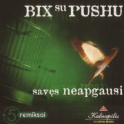 SAVĘS NEAPGAUSI (FEAT. PUSHAZ)