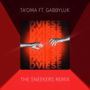 DVIESE (THE SNEEKERS REMIX)