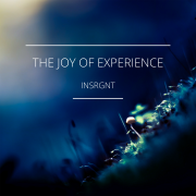 THE JOY OF EXPERIENCE (Singlas)