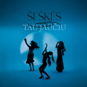 Tau jaučiu (Singlas)