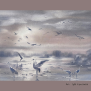 DANCES OF CRANES (Singlas)