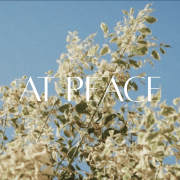 At Peace (Singlas)