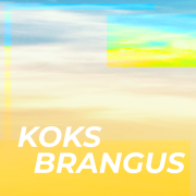 Koks brangus (Singlas)