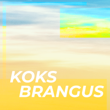 Koks brangus (Singlas)