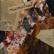MISCONSTRUAL (Singlas)