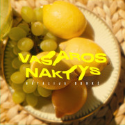 Vasaros naktys (Singlas)